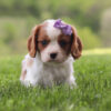 Vicky - Image 7