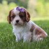 Vicky - Image 2