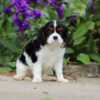 Zoe - Image 2