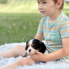 Brady - Image 5