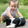 Brady - Image 3