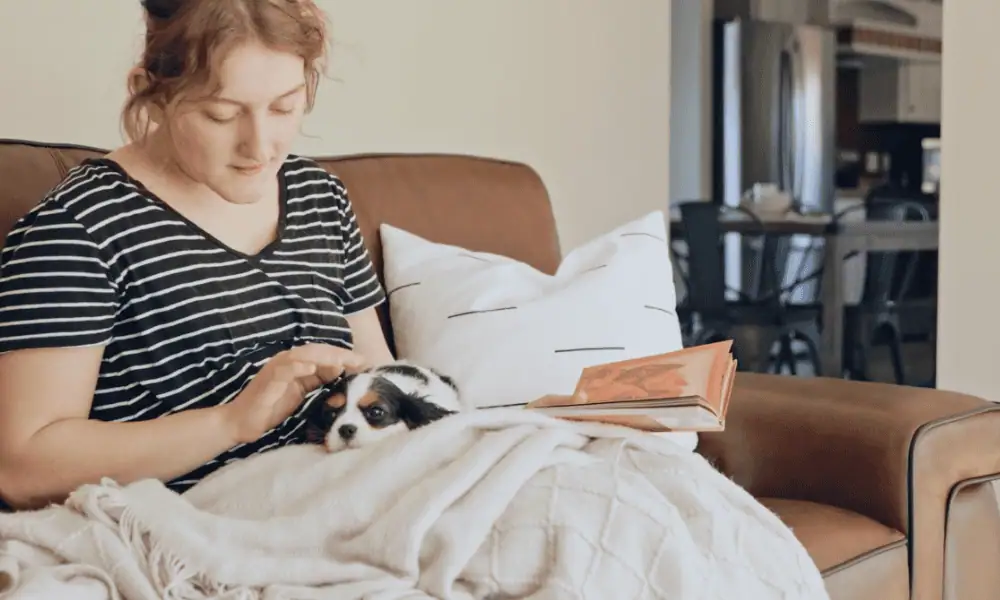 A cavalier snuggling with a woman.